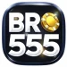 BRO555